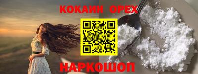 a pvp Свободный