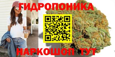 a pvp Свободный