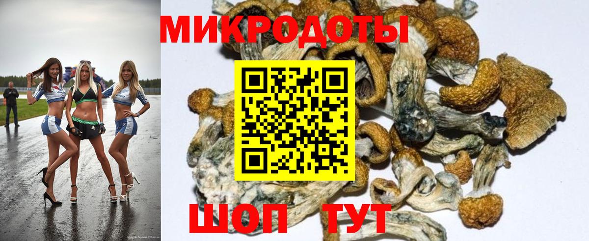 Приморско-Ахтарск  Псилоцибиновые грибы Magic Shrooms  Вход с VPN 